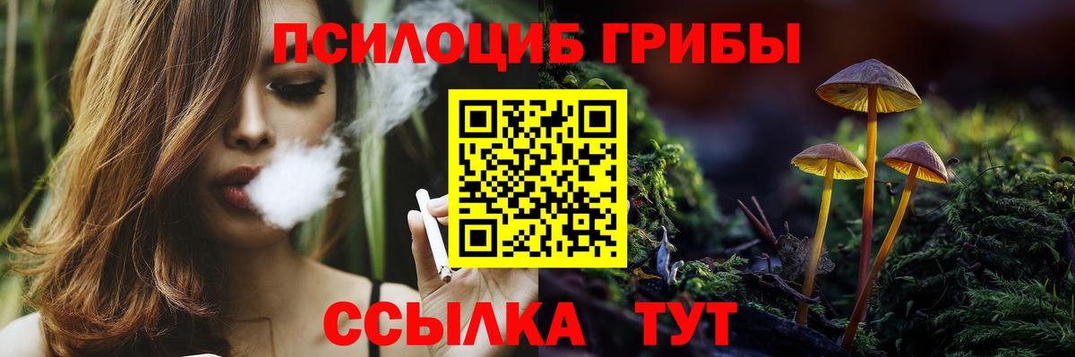 Будённовск  Галлюциногенные грибы мухоморы  Вход с VPN 